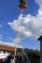 Stavanie mája Stavanie mája