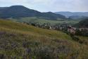 Ročné obdobia v obci Ročné obdobia v obci